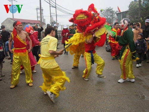 Festival honours royal court mandarin  - ảnh 5